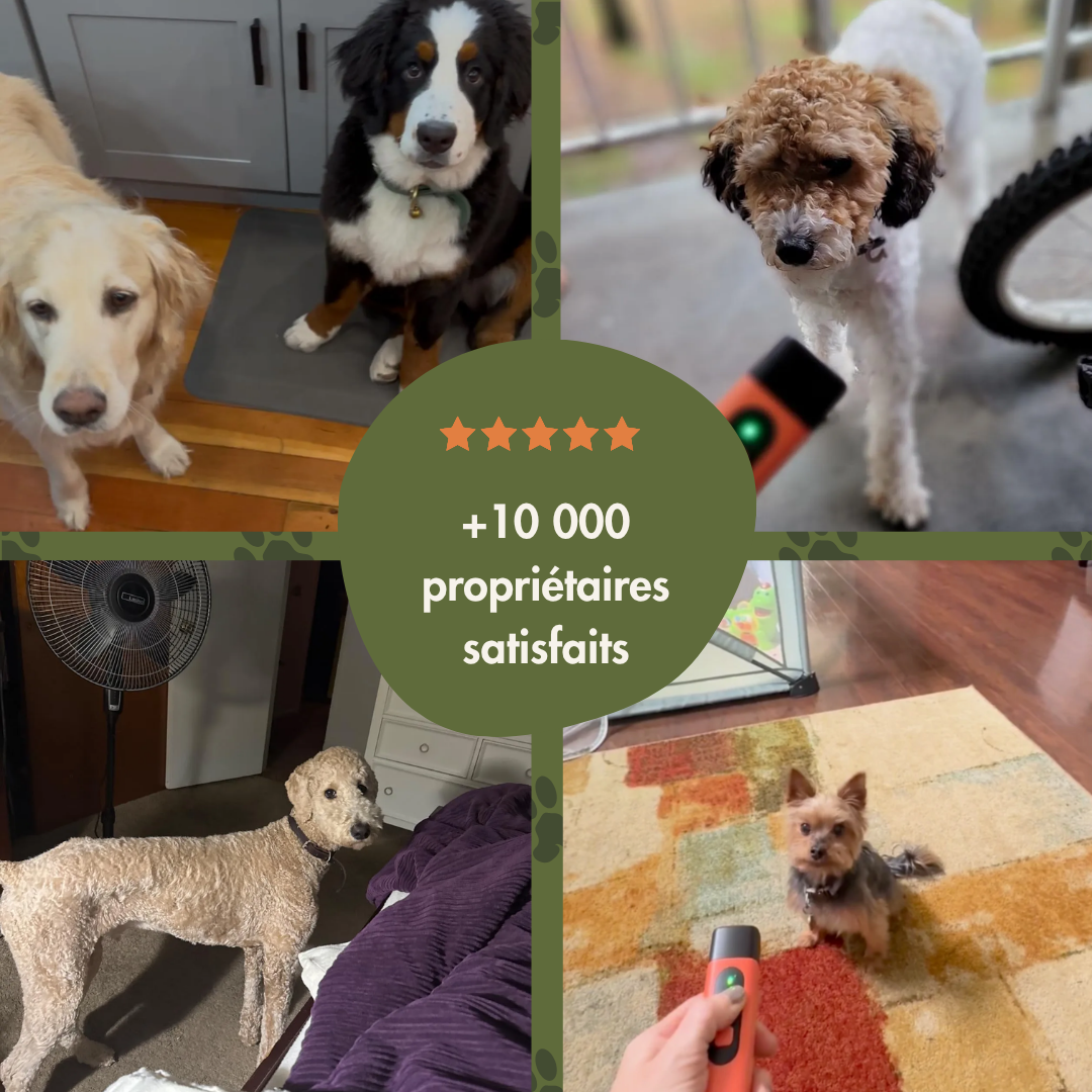 Relaxydoggy™ – Dispositif intelligent anti-aboiement