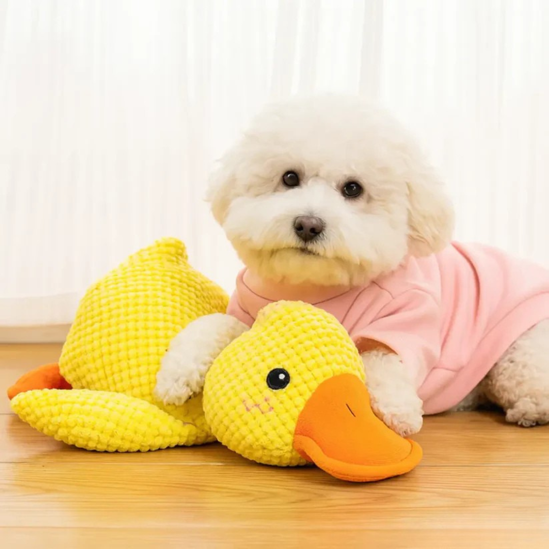 Relaxycany™ – Jouet apaisant et résistant pour chien