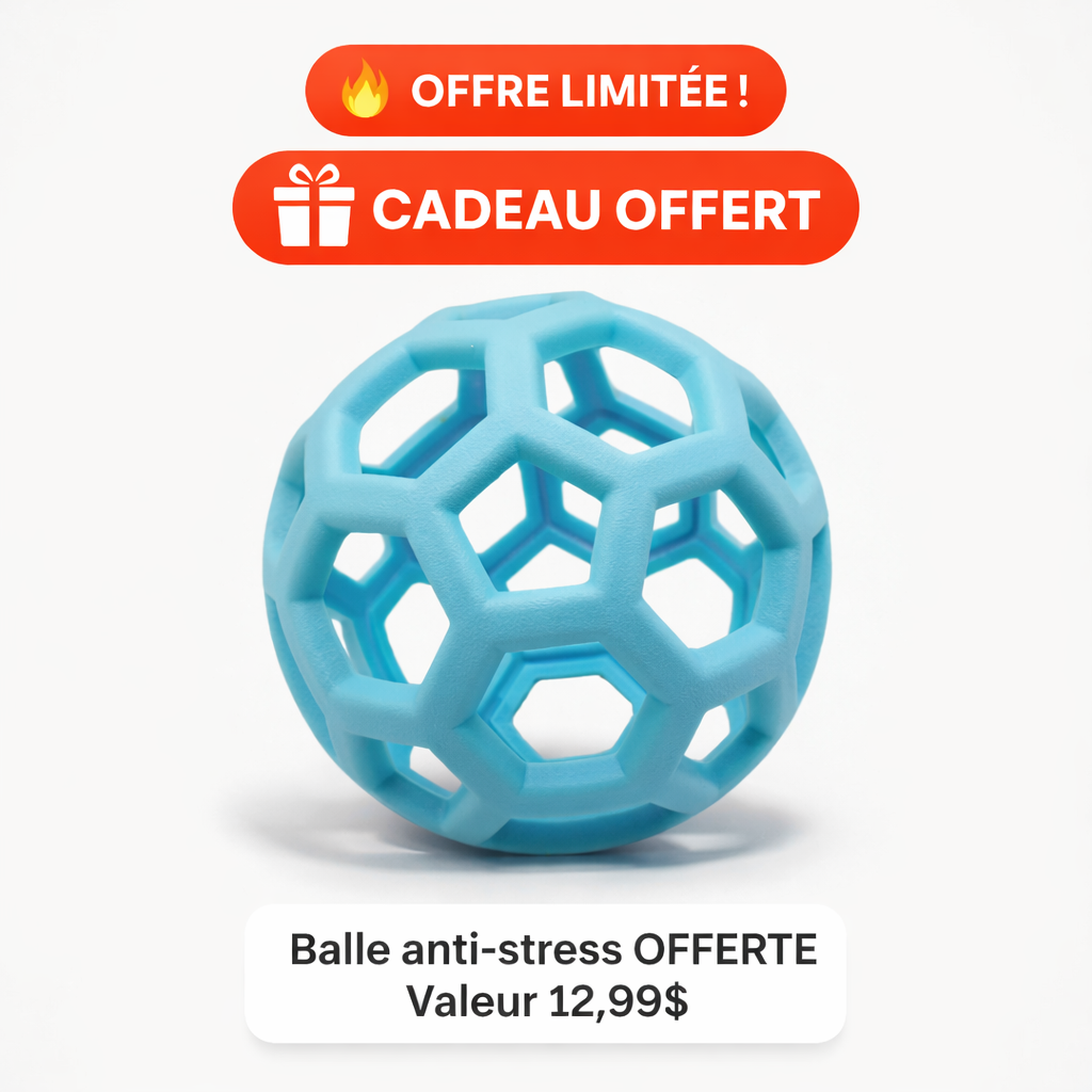 FurClean™ – Fini les poils partout dans votre maison en un seul passage