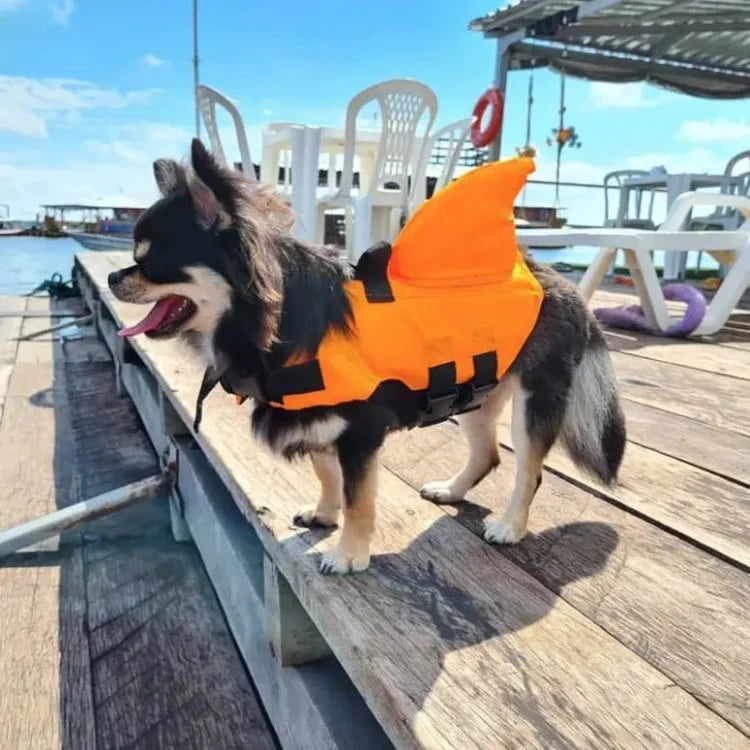 Swimmysharky™ – Gilet de sauvetage pour chien