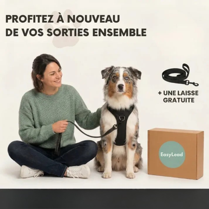 EasyLead™ – Harnais anti-traction confortable et sécurisé