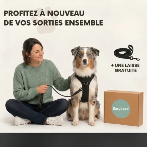EasyLead™ – Harnais anti-traction confortable et sécurisé