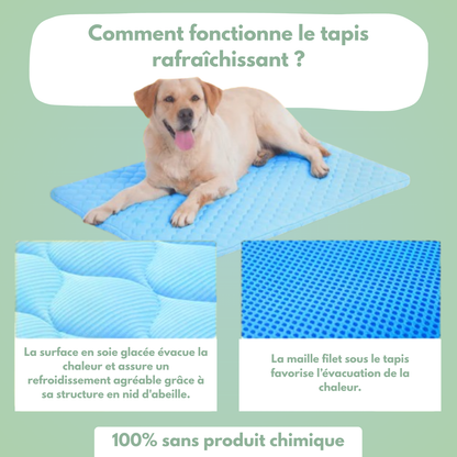 CoolPaw™ - Tapis rafraichissant pour chien
