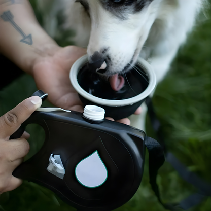 Comfywalk™ – La laisse ultime avec 5 accessoires intégrés