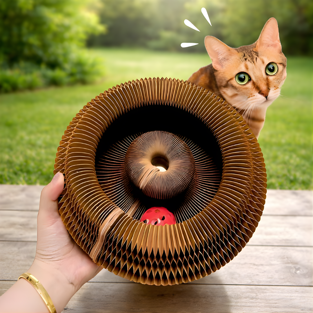 KittySpin™ – Le griffoir interactif qui stimule l’instinct de votre chat