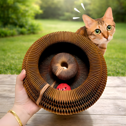 KittySpin™ – Le griffoir interactif qui stimule l’instinct de votre chat