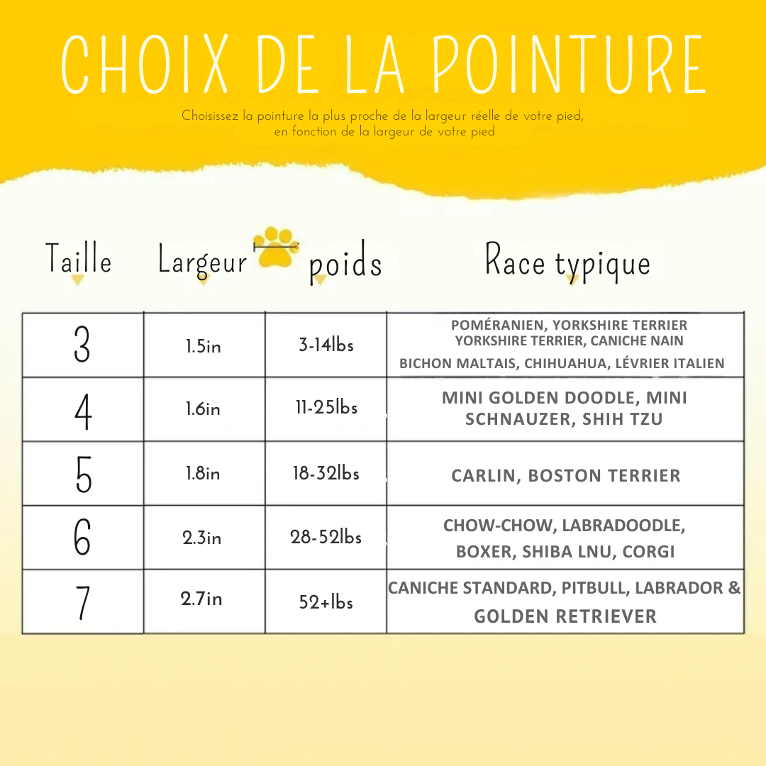 SnugPaw Shoes™ – Protection, confort et sécurité pour chaque patte