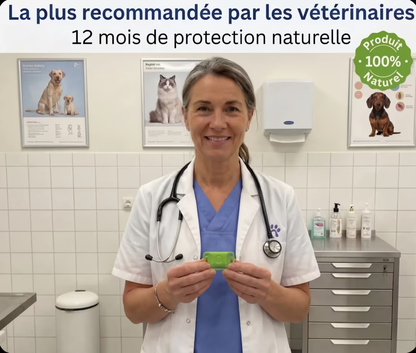 NordProtect™ – Protection naturelle anti-parasites pour chien