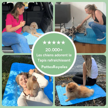 CoolPaw™ - Tapis rafraichissant pour chien