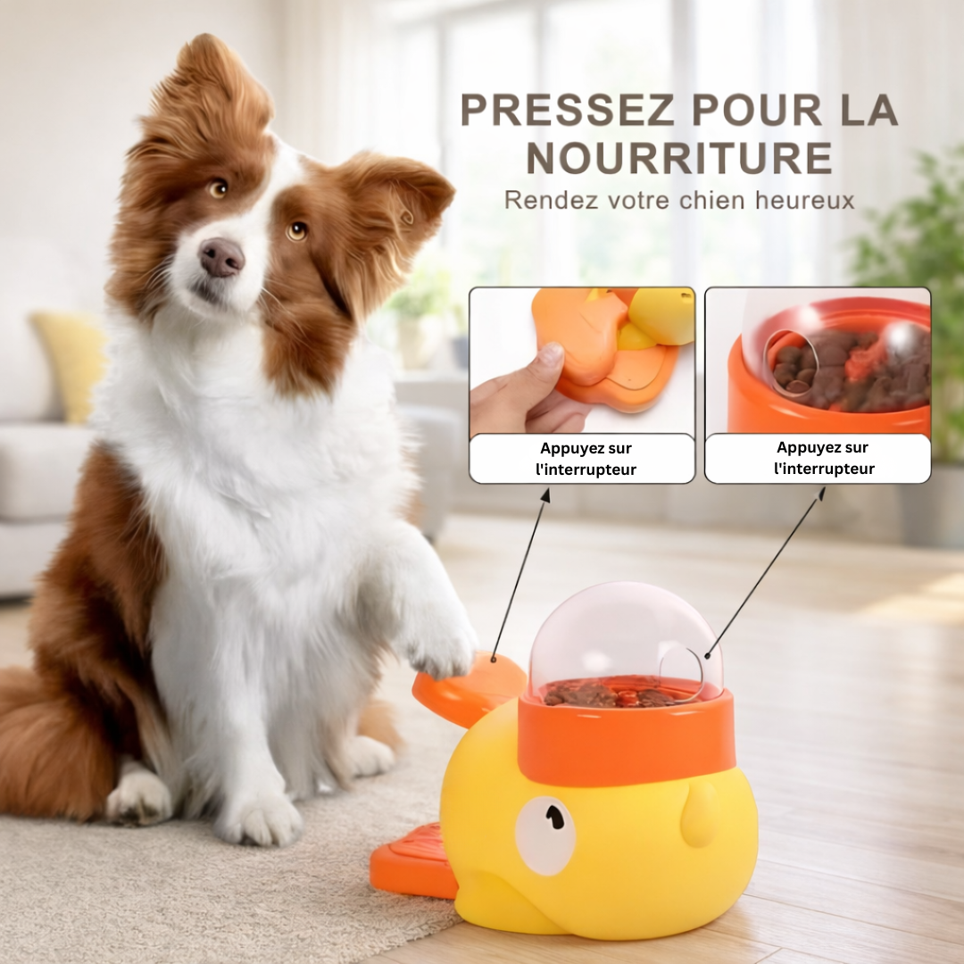 SnackPop™ – Le jouet interactif qui transforme les repas de votre chien en jeu
