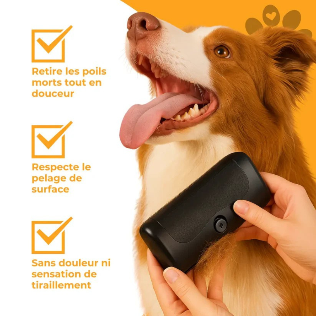 Cleanyhair™ – Brosse de toilettage pour chien