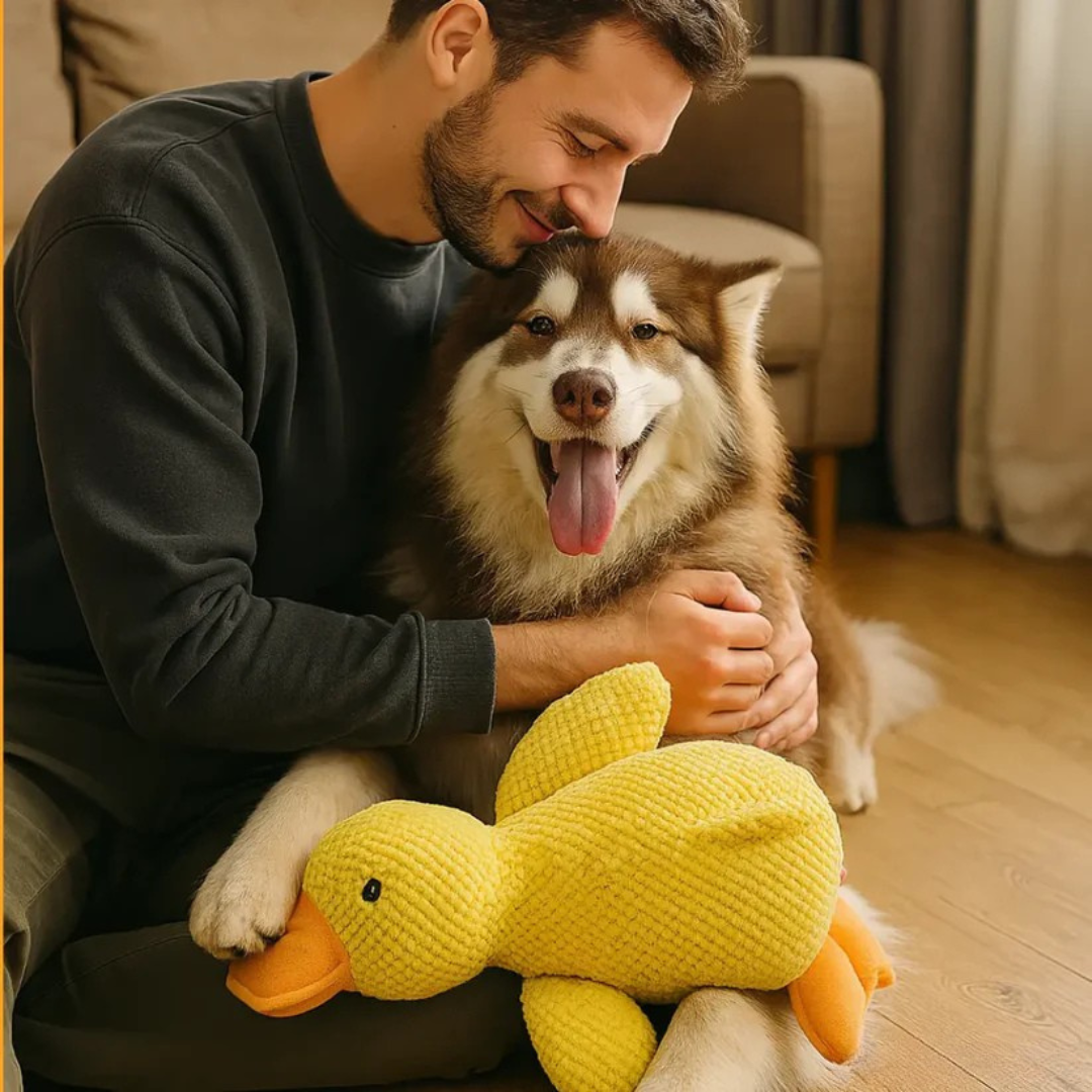 Relaxycany™ – Jouet apaisant et résistant pour chien