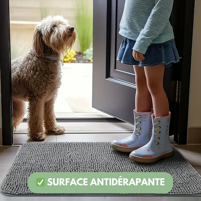 Cleanytapis™ – Pattes propres et sol impeccable en quelques secondes