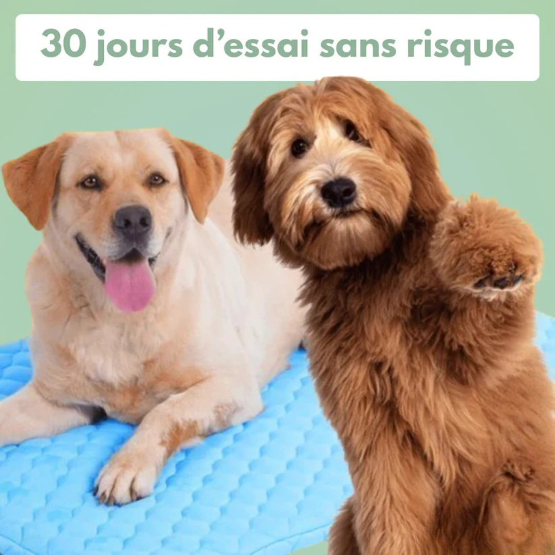 CoolPaw™ - Tapis rafraichissant pour chien