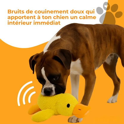Relaxycany™ – Jouet apaisant et résistant pour chien
