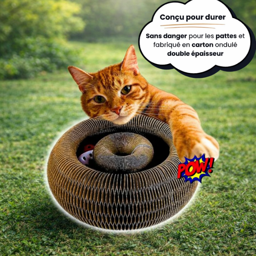 KittySpin™ – Le griffoir interactif qui stimule l’instinct de votre chat
