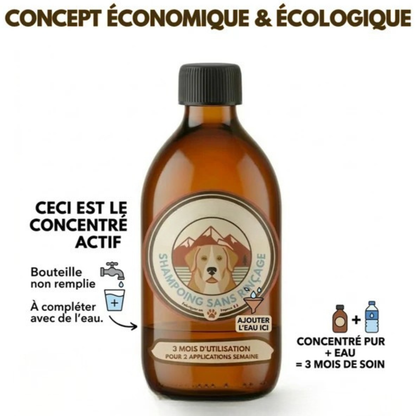 FreshPaw™ – Shampoing nettoyant sans rinçage - Apaisant pour chien