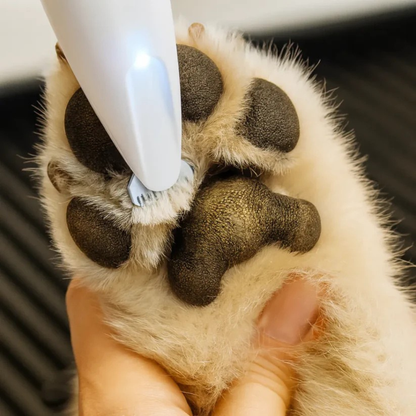 Comfyrazor™ – La tondeuse de précision pour l’hygiène de votre chien