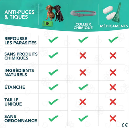 NordProtect™ – Protection naturelle anti-parasites pour chien