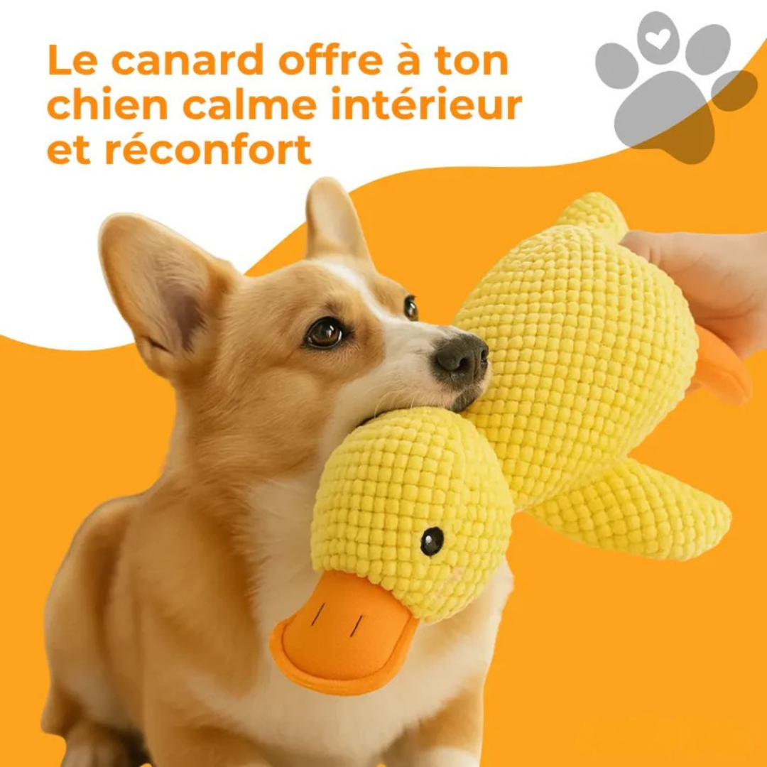 Relaxycany™ – Jouet apaisant et résistant pour chien