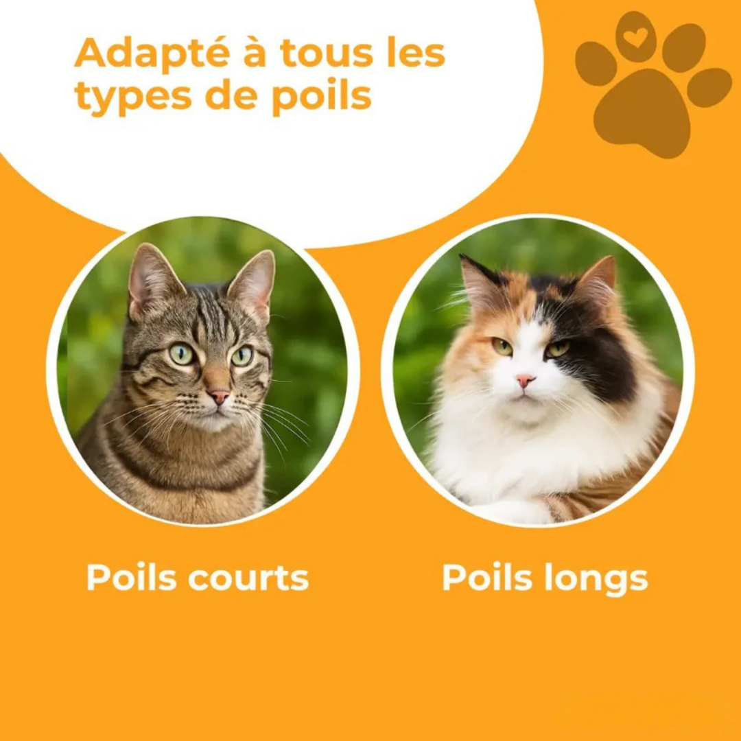 Comfybrossy™ – Brosse attrape-poils pour animaux