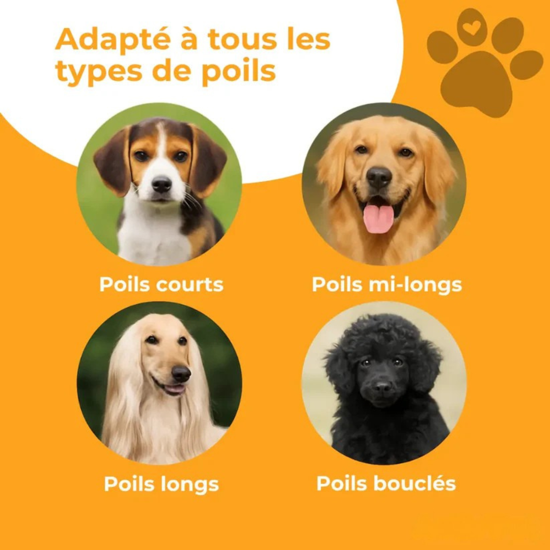 Cleanyhair™ – Brosse de toilettage pour chien