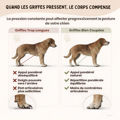 SnackHunt™ – Fini le stress des coupe-griffes