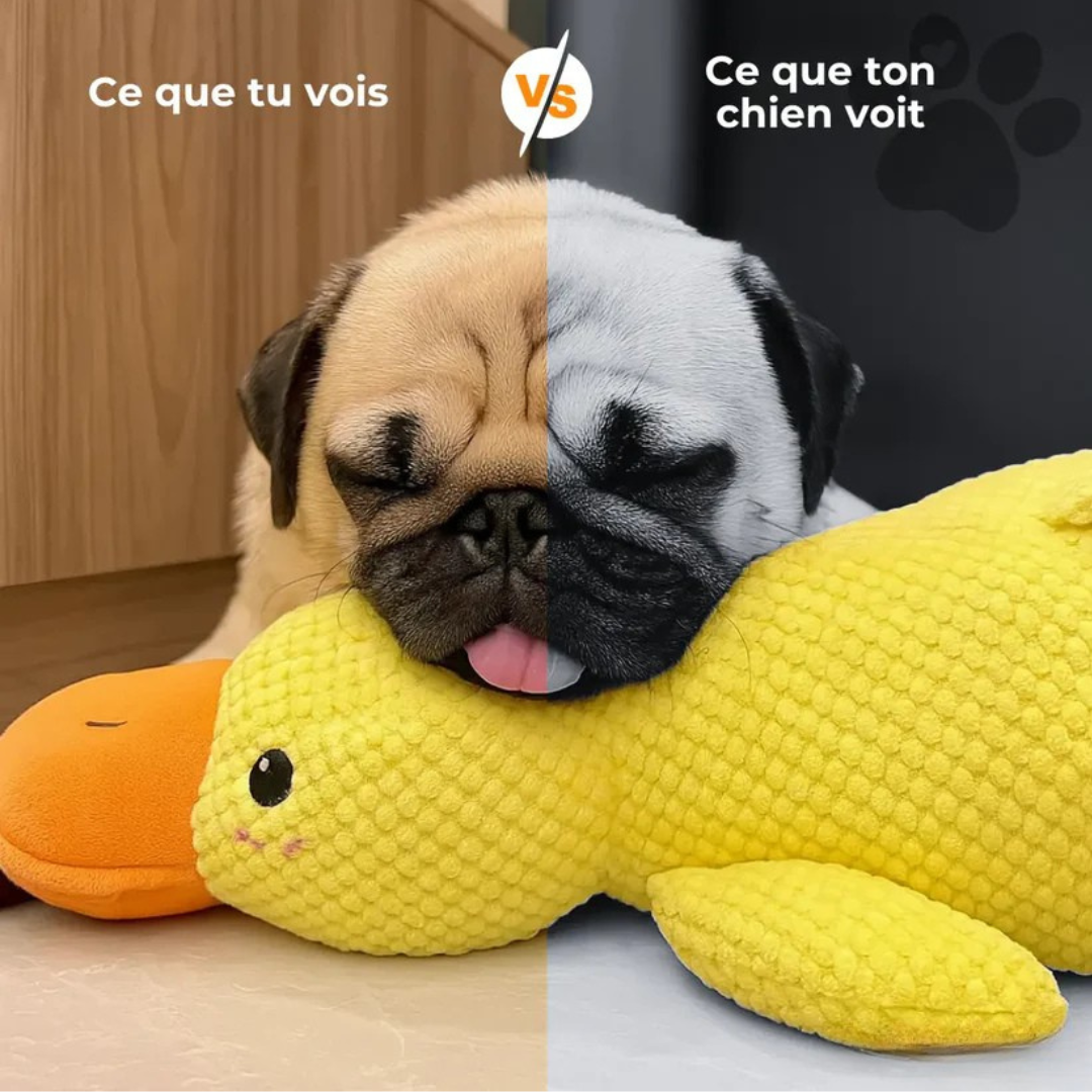 Relaxycany™ – Jouet apaisant et résistant pour chien