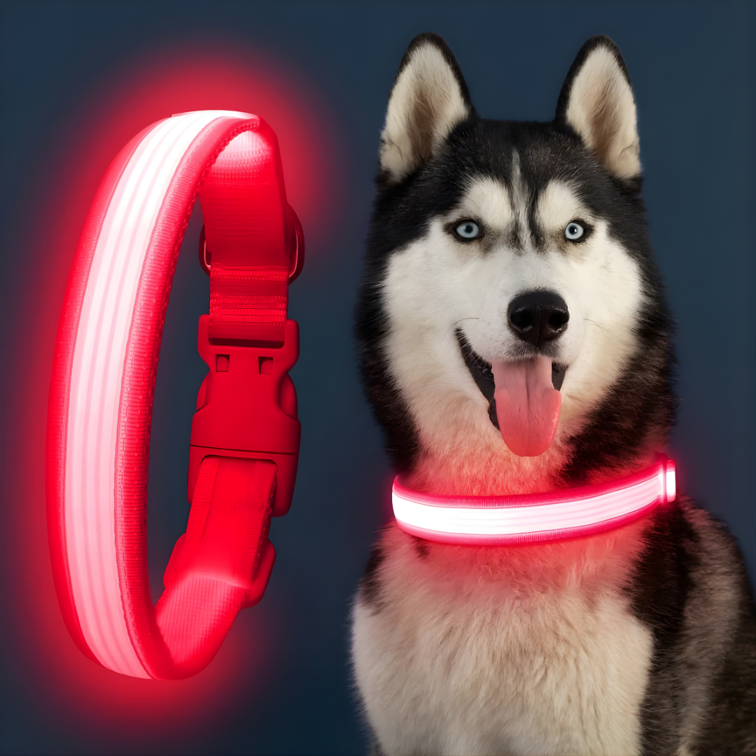 Comfyneck™ – Collier lumineux pour chien