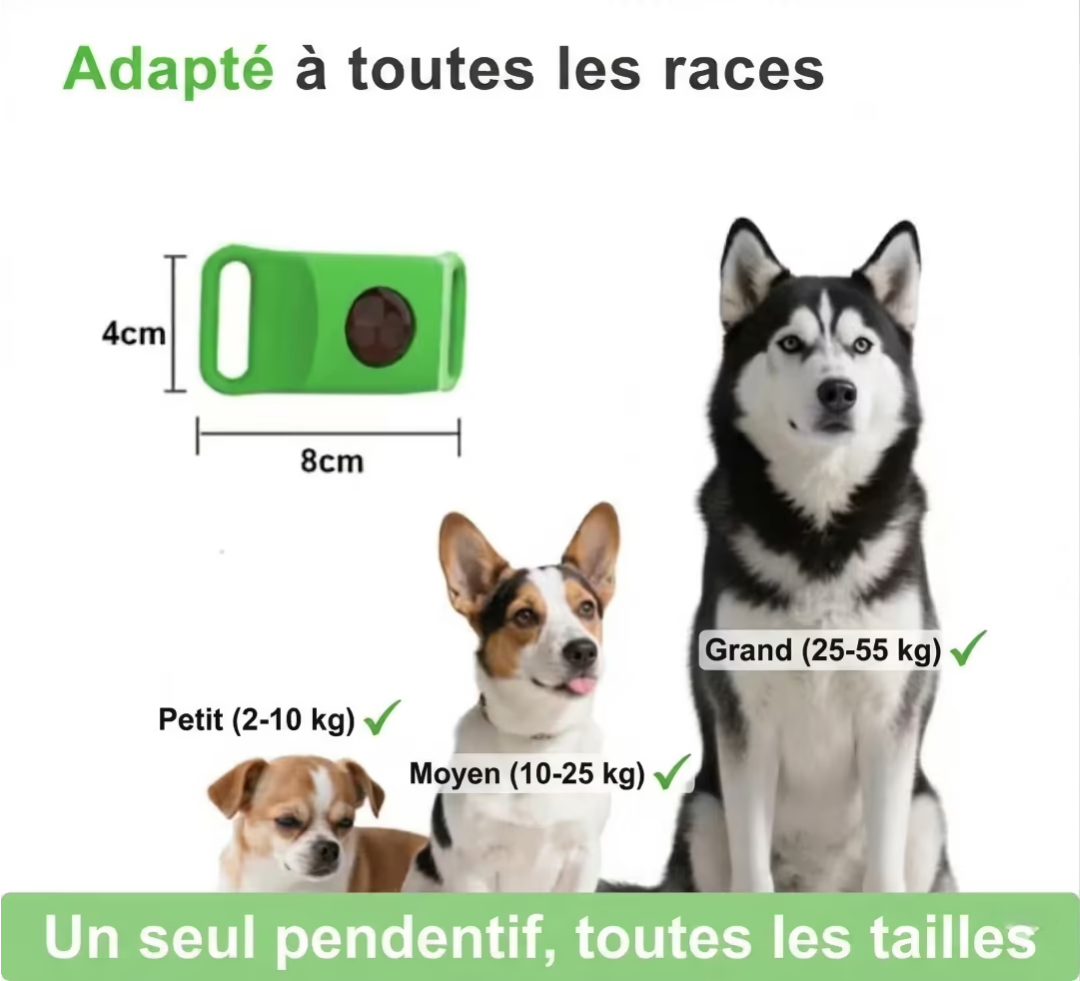 NordProtect™ – Protection naturelle anti-parasites pour chien