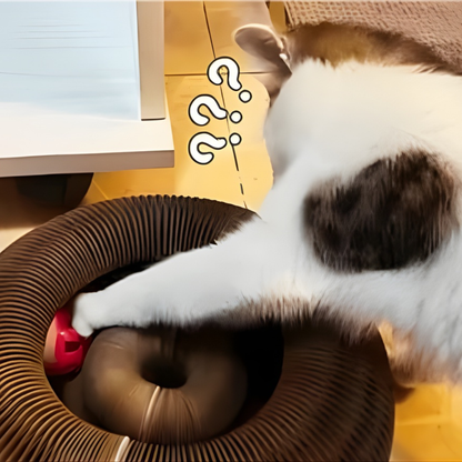 KittySpin™ – Le griffoir interactif qui stimule l’instinct de votre chat