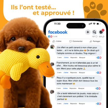 Relaxycany™ – Jouet apaisant et résistant pour chien