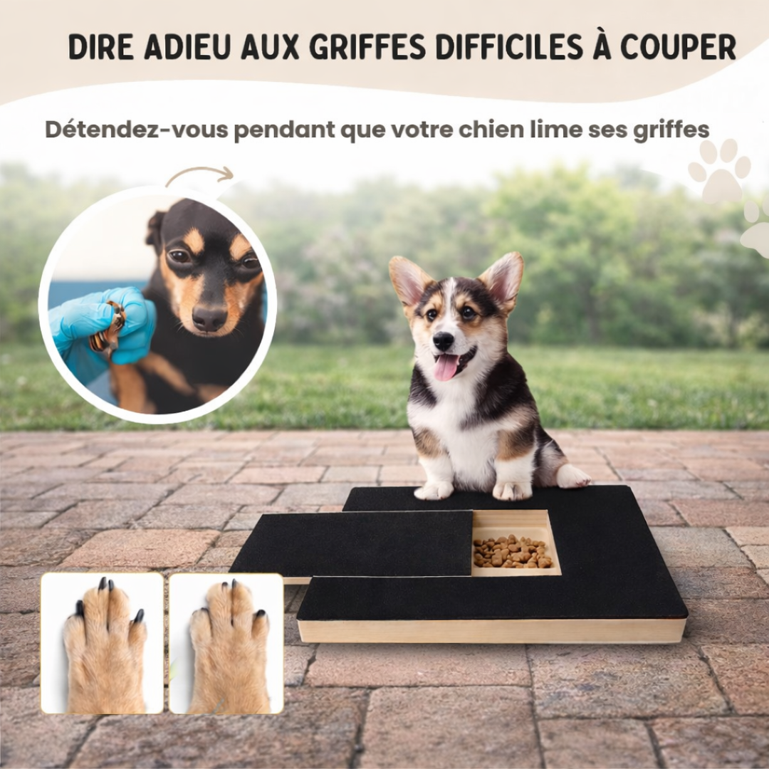 SnackHunt™ – Fini le stress des coupe-griffes