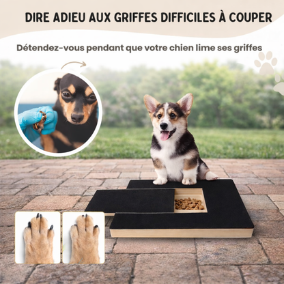 SnackHunt™ – Fini le stress des coupe-griffes
