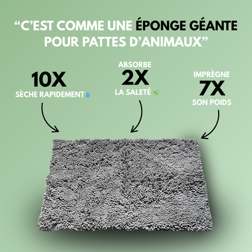 Cleanytapis™ – Pattes propres et sol impeccable en quelques secondes