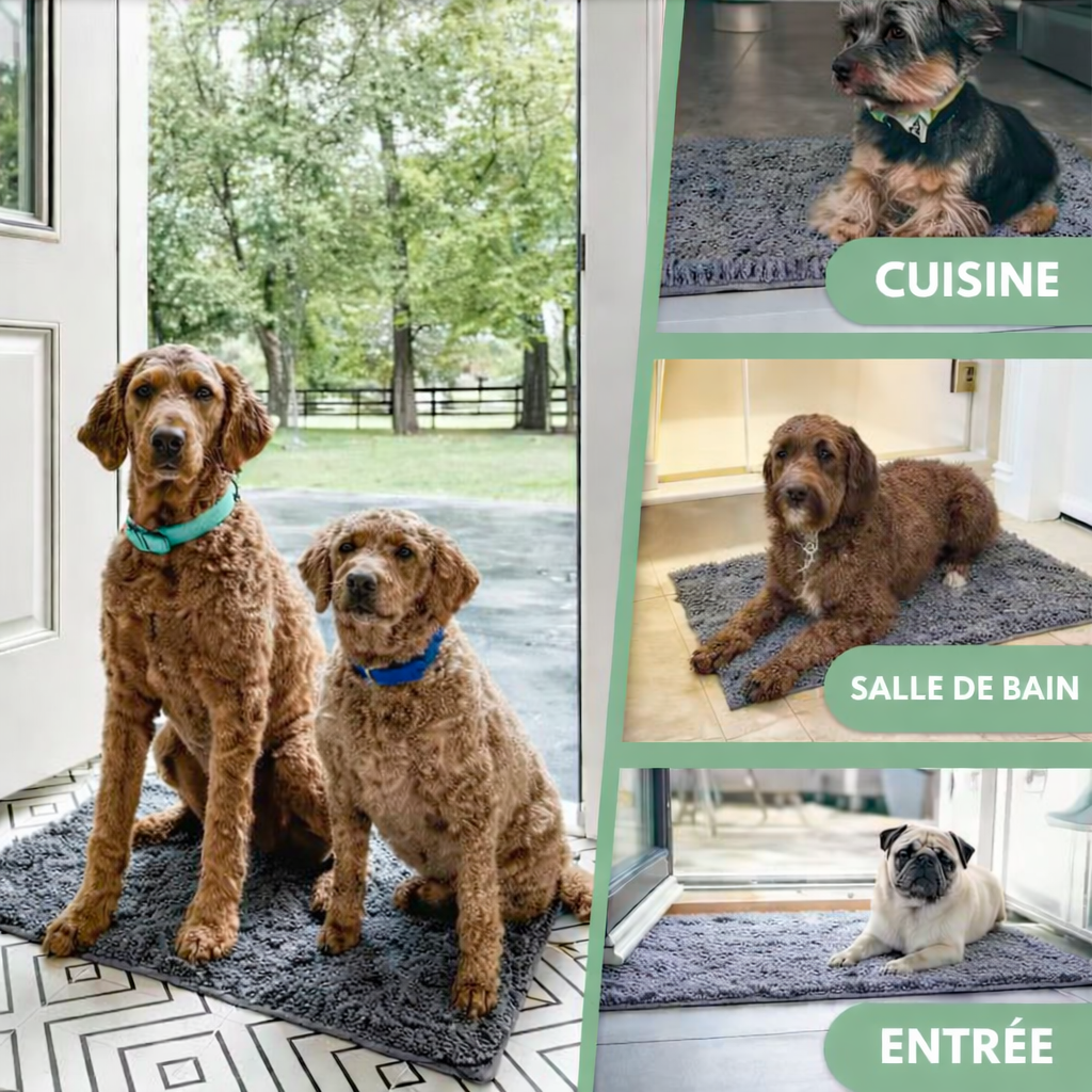 Cleanytapis™ – Pattes propres et sol impeccable en quelques secondes