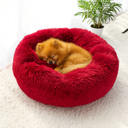 FluffyCloud™ – Coussin calmant ultra confortable pour chien et chat
