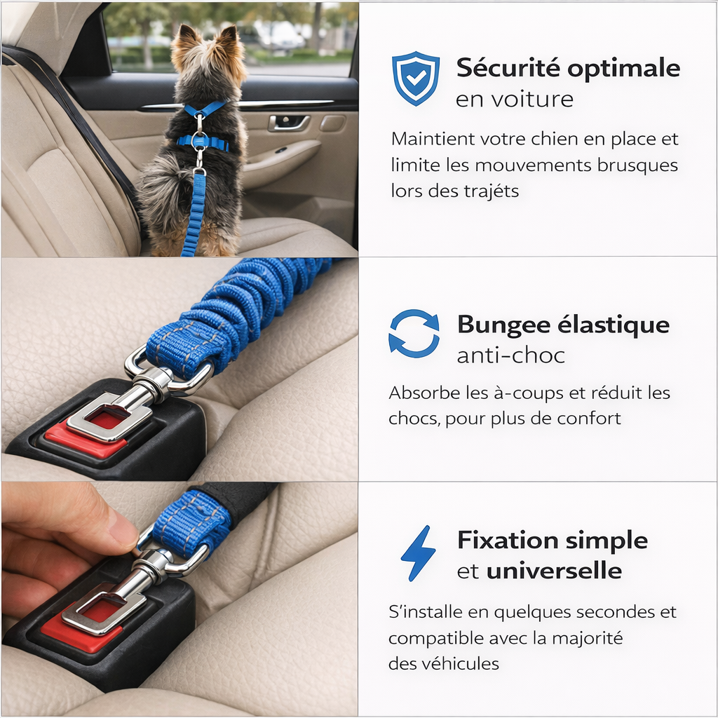 Bungeecar™ – Laisse bungee sécurisée avec attache voiture