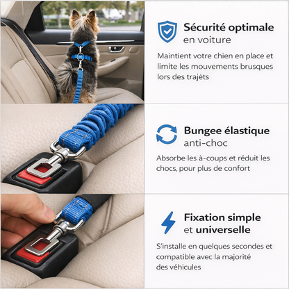Bungeecar™ – Laisse bungee sécurisée avec attache voiture