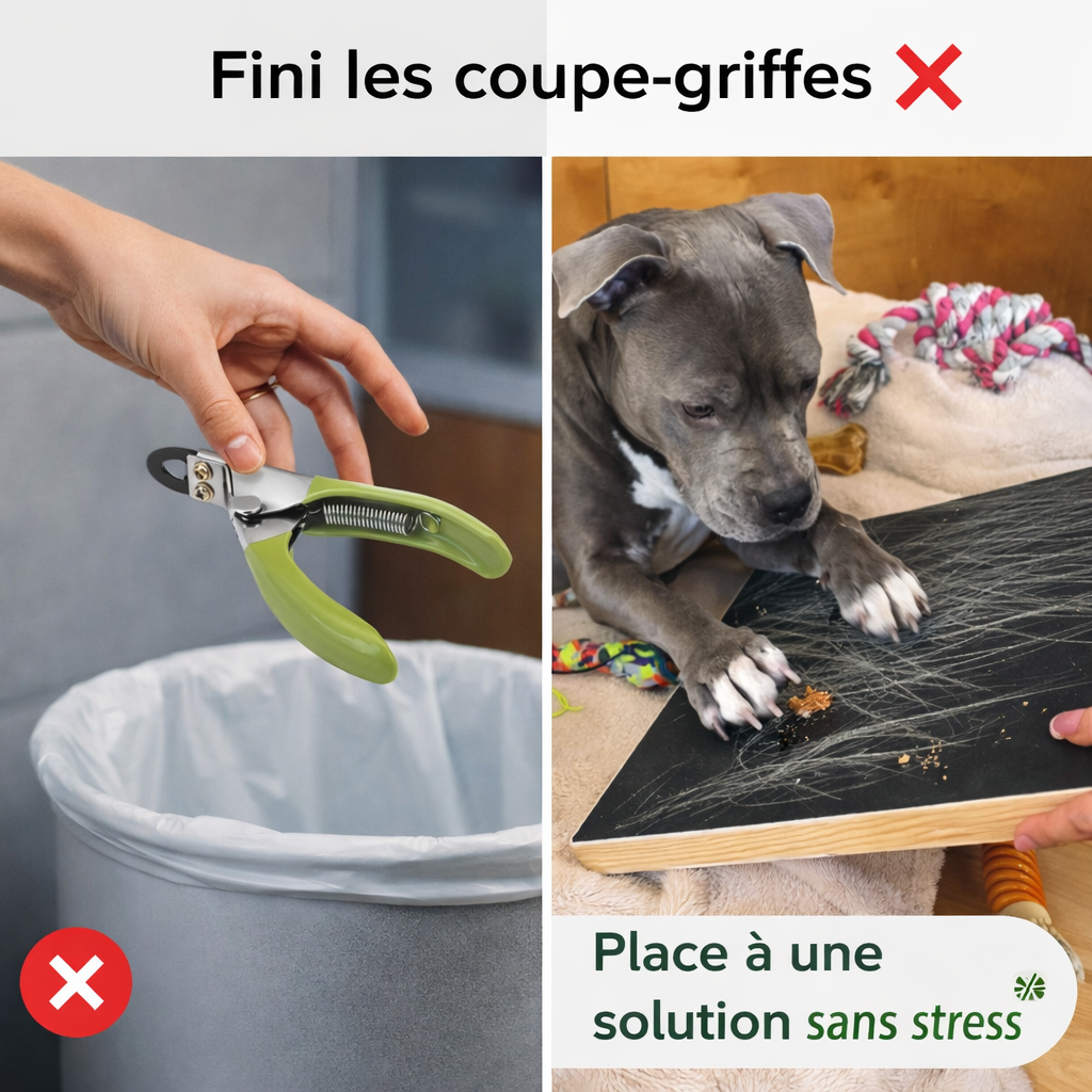 SnackHunt™ – Fini le stress des coupe-griffes