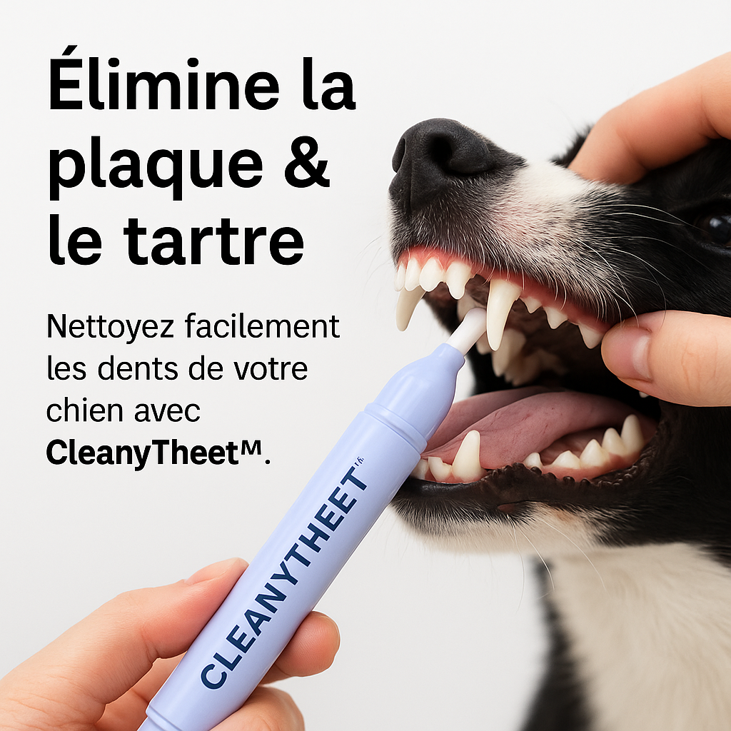 CleanyTheet™ – Stylo nettoyant anti-tartre pour chiens
