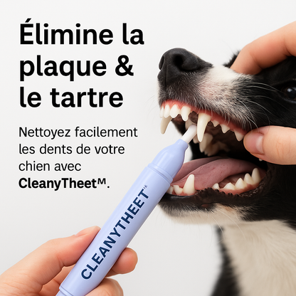 CleanyTheet™ – Stylo nettoyant anti-tartre pour chiens