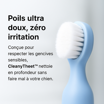 CleanyTheet™ – Stylo nettoyant anti-tartre pour chiens