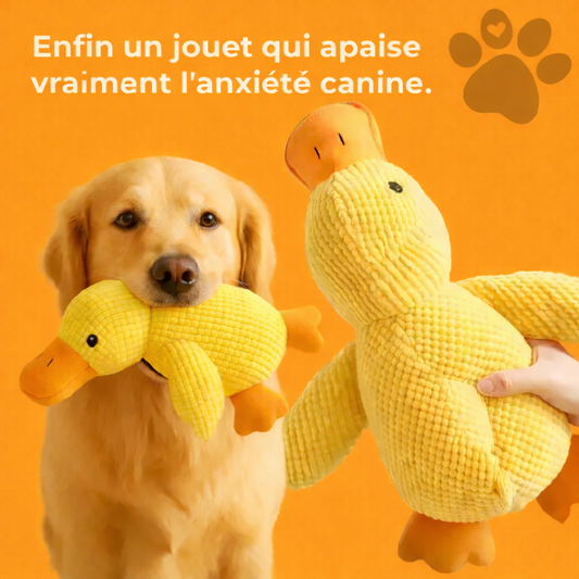 Relaxycany™ – Jouet apaisant et résistant pour chien