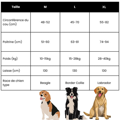 PupFreeWalk™ – Harnais 2-en-1 avec laisse intégrée