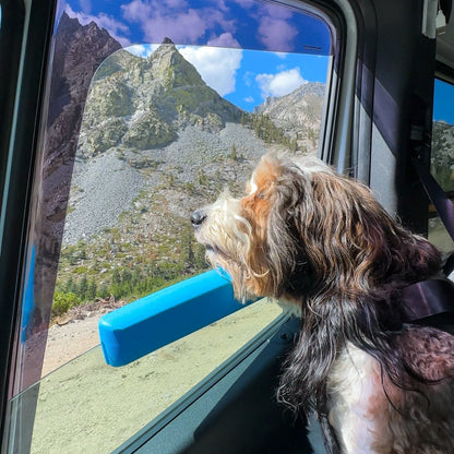 Comfysafety™ –Protège le cou de votre chien pendant les trajets en voiture