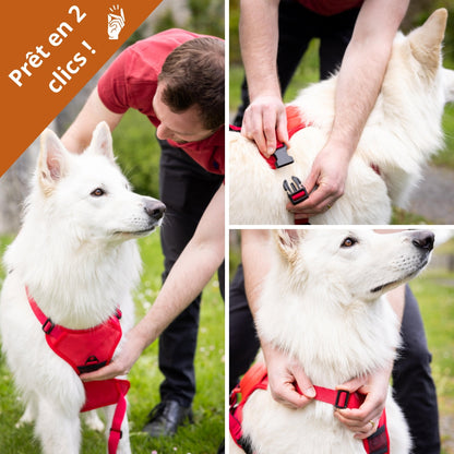 PupFreeWalk™ – Harnais 2-en-1 avec laisse intégrée