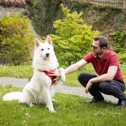 PupFreeWalk™ – Harnais 2-en-1 avec laisse intégrée