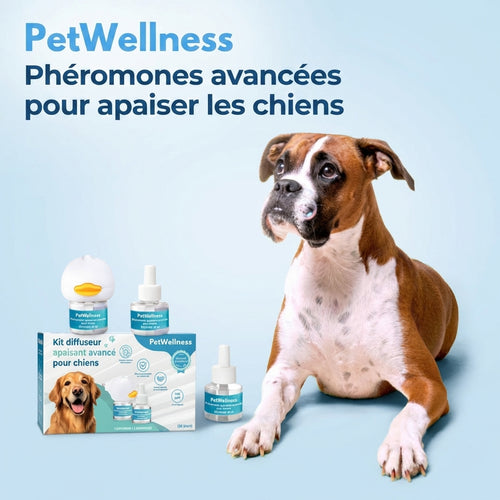 PetWellness™ – Éliminez Les Pipis Et L’Anxiété Des Chiens Avec Une Solution Scientifiquement Prouvée!