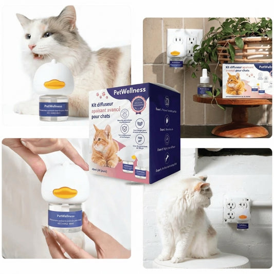 PetWellness™ – Empêchez Les Marquages Et Les Jets D’Urine De Votre Chat Sans Effort